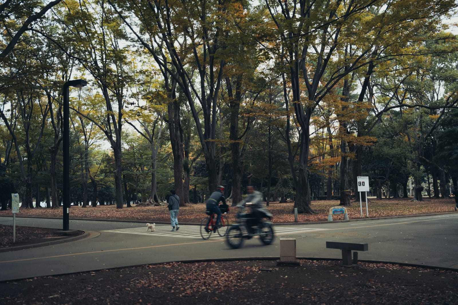 Japan feature photograph